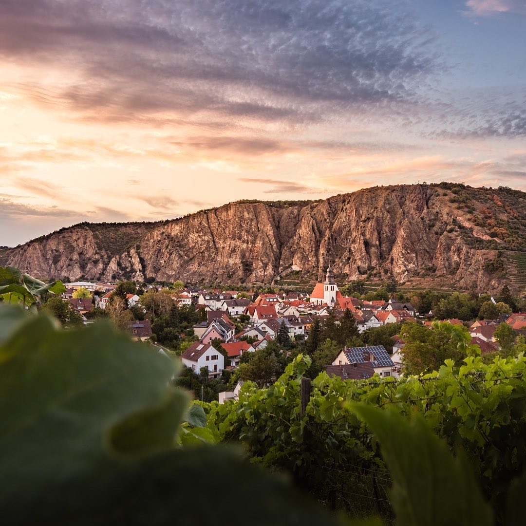 German Wine