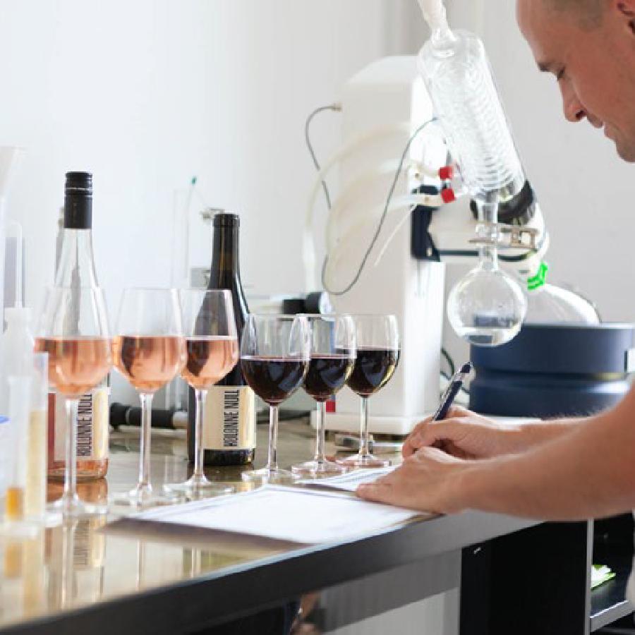 Non-Alcoholic Wines