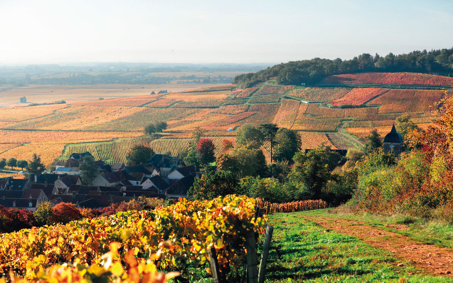 French Wine