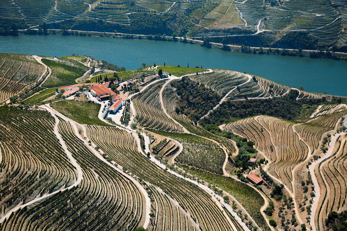 Portuguese Wine